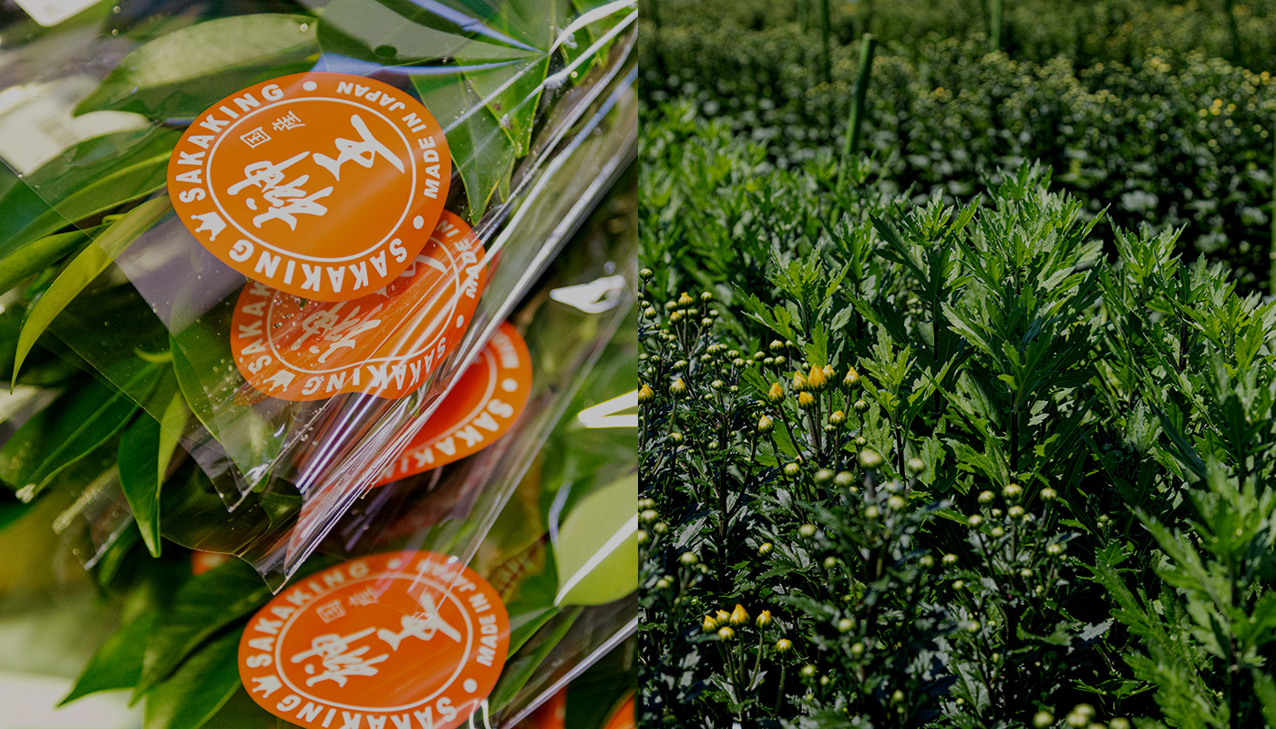 私たちの取り組み